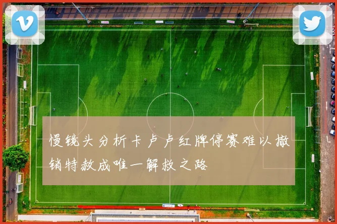 慢镜头分析卡卢卢红牌停赛难以撤销特赦成唯一解救之路