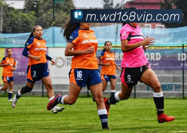 App Interface Preview