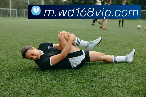 问鼎娱乐APP 封面图