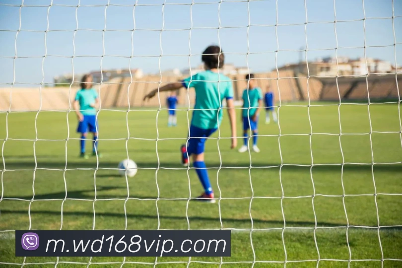 数据防护可视化